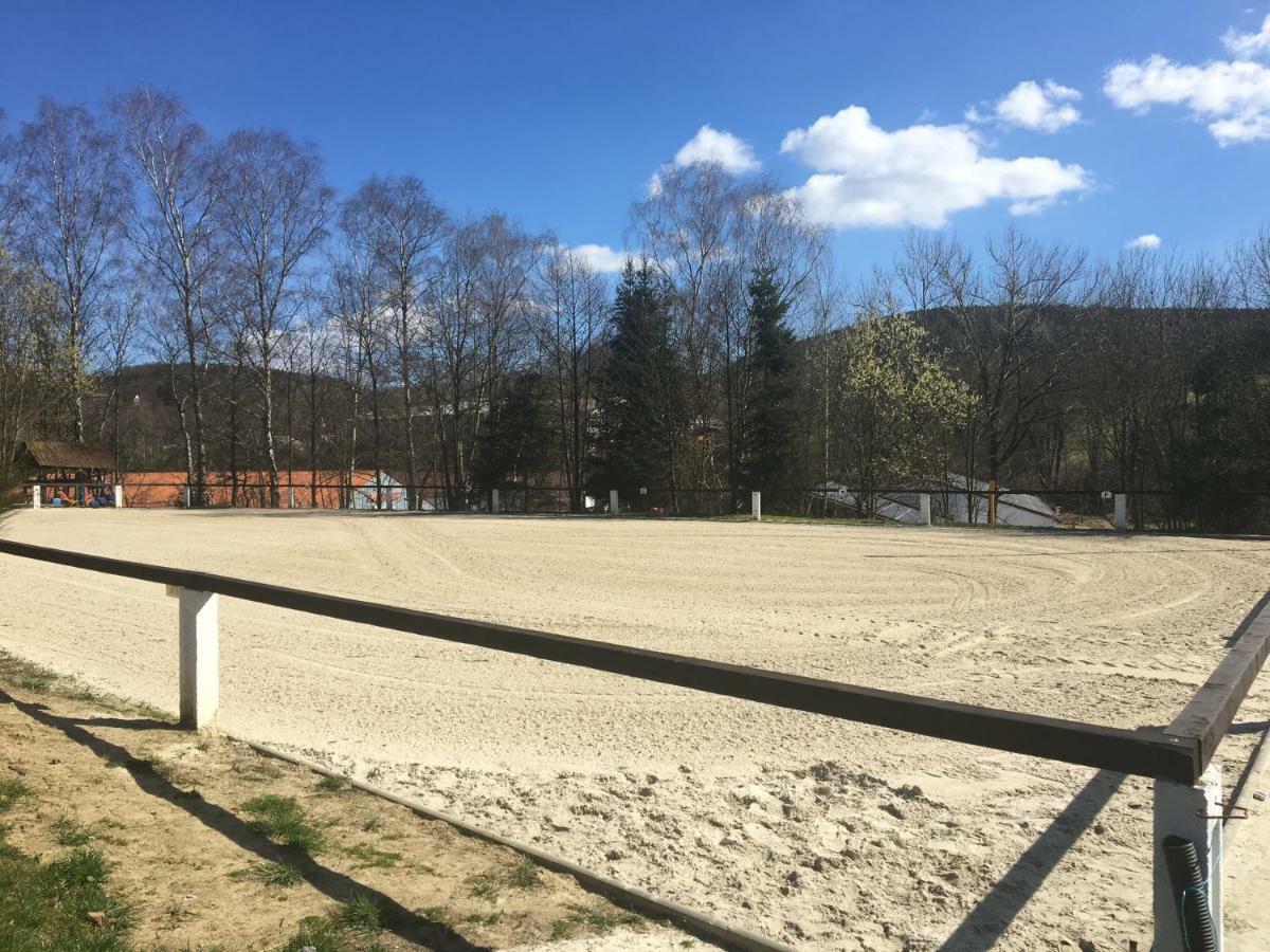 Ferienhaus Am Bergblick Sebnitz Exterior foto